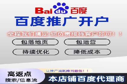 百度SEM推广在电商行业的应用案例